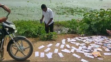 Photo of गजब लापरवाही ..डाक कर्मियों ने वितरण न करके तलाब में फेंके आधार कार्ड…आम आदमी को महीनो लग जाते हैं बनवाने में