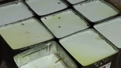 Photo of खाद्य सुरक्षा का छापा, दही- दूध में तैर रही थी सैंकड़ों मख्खी, मदर डेयरी सील