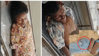 Photo of सर्प के डसने से गयी भाई-बहन की जान…झाड़फूंक अंधविश्वास बना मौत का कारण