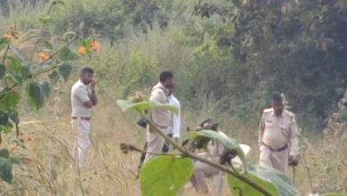 Photo of दो सुअरों को मारकर दफनाने के बाद अब मिला मृत तेंदुआ, घुघरा में मचा हड़कंप