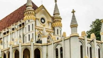 Photo of घिरौली कोल माइन प्रोजेक्ट के लिए लाखों पेड़ों की कटाई के मामले में हाईकोर्ट में सुनवाई अब 6 जनवरी को