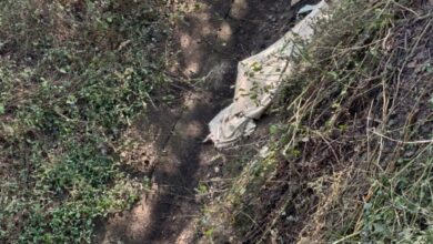 Photo of पनागर में नहर में महिला की संदिग्ध हालत में लाश मिलने से सनसनी, हत्या की आशंका