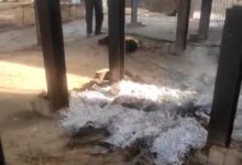 Photo of खितौला श्मशान घाट में सनसनी: युवक ने चिता पर लेटकर दी जान