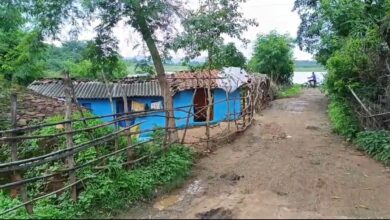 Photo of जंगली सियार ने घरों में घुसकर सात ग्रामीणों पर हमला, गांव में दहशत